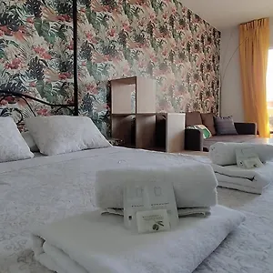 https://carolina-apartment.tenerifehoteles.net
